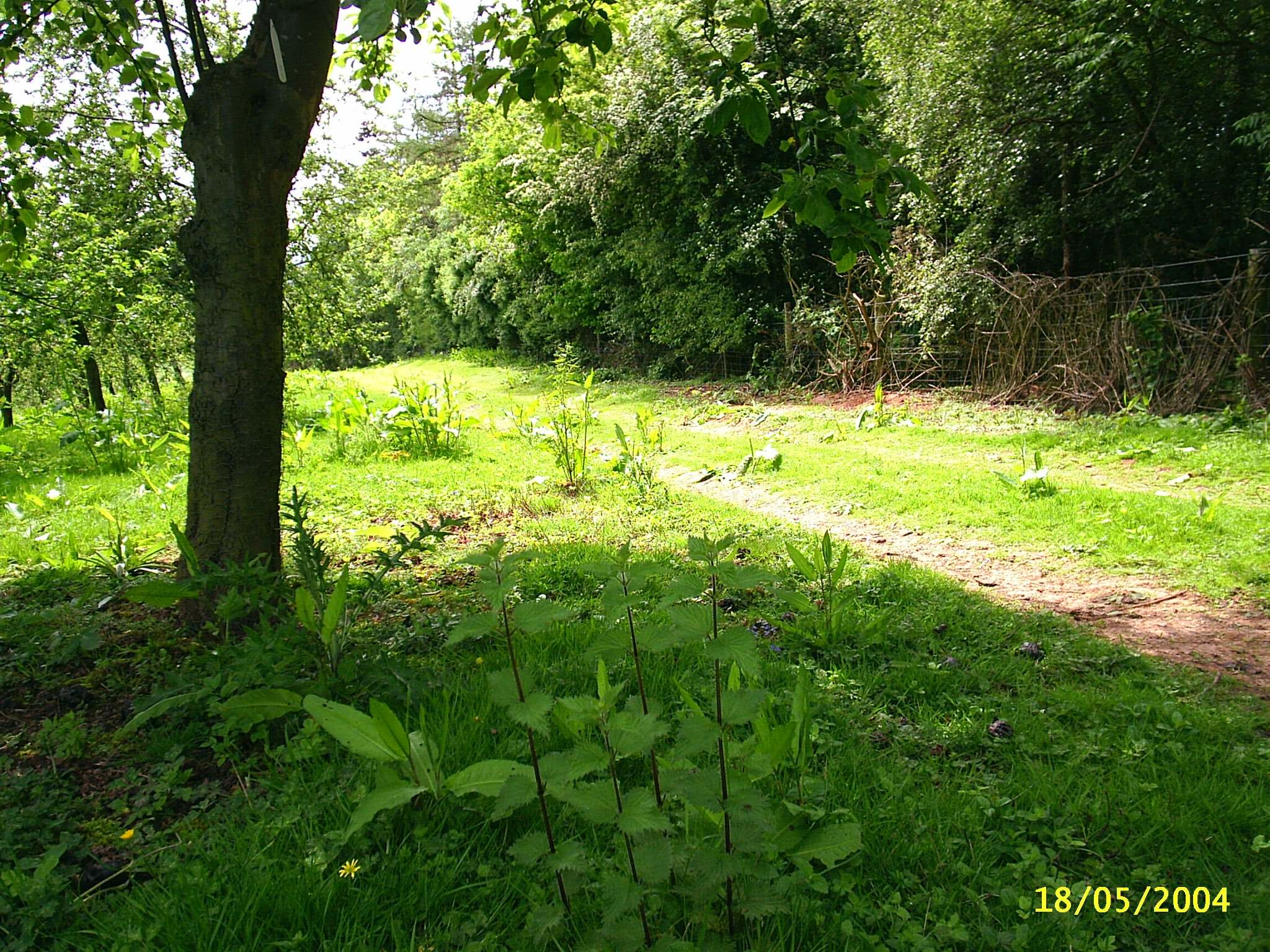 orchardglade